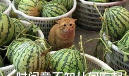 有什么爆料吃瓜的群吗